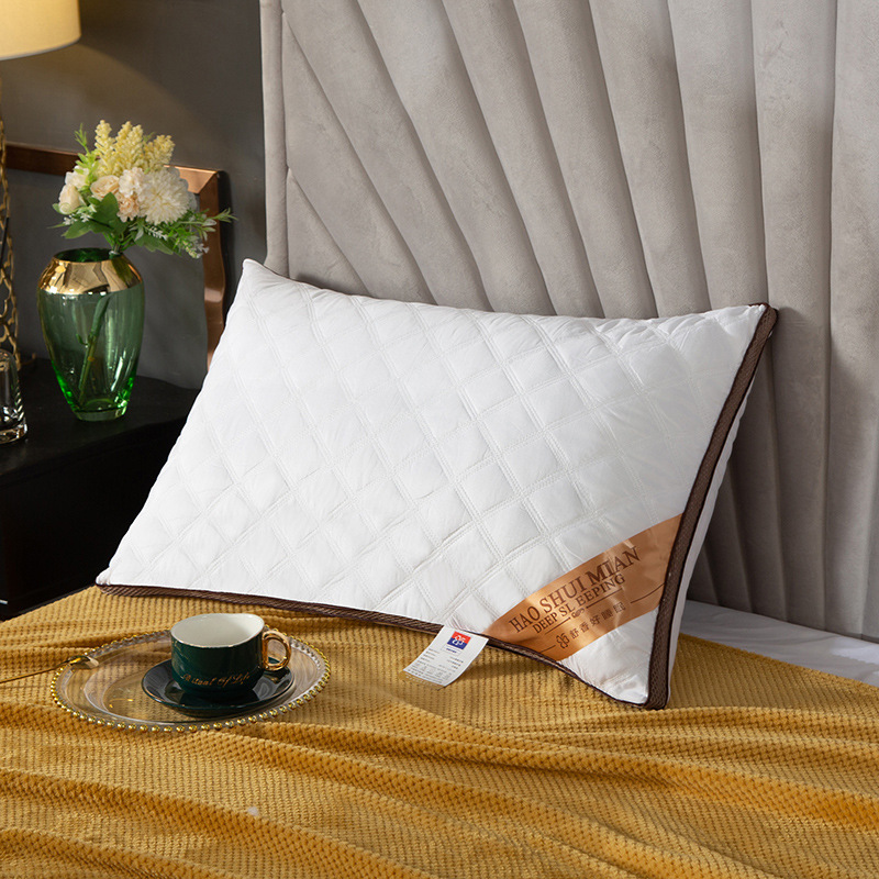 Wholesale 5 star white hotel pillow healthy goose down pillow (1)